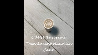 Translucent Nautilus cane
