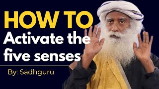 Discover the Secrets: Sadghuru on Activating 5 Senses #sadghuru #inspiring #motivational