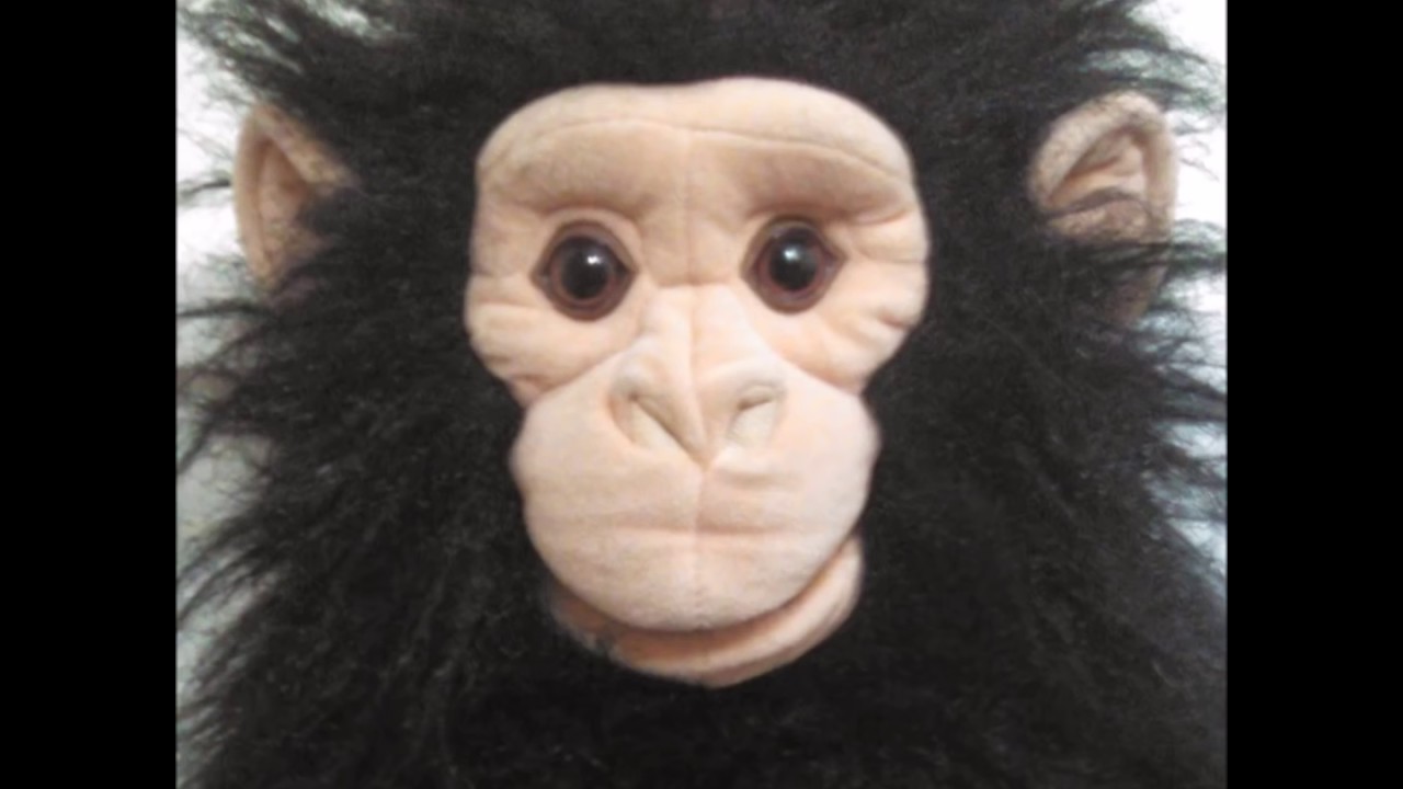 Behind the mask - Turd Flinging Monkey