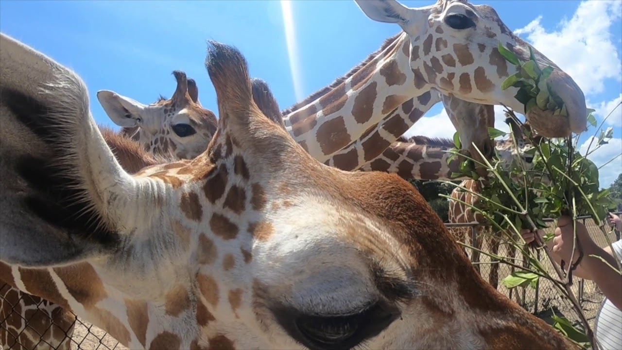 Happy Summer Coron Palawan
