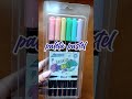 Plumones punta pincel  brush pens  dual brush