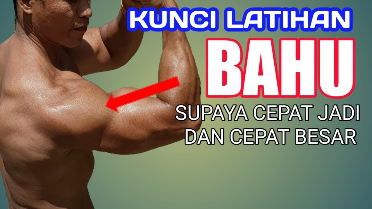Latihan otot bahu supaya cepat jadi dan besar - YouTube