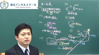 骨の成長　頭蓋底、口蓋、頬骨弓、上顎骨、下顎骨　矯正歯科国試対策