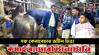 গরু কেনা জটিল কাজ! দেখুন এই ভিডিওতে। গাবতলী গরু 2024