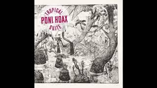 Miniatura de "Poni Hoax - Tropical Suite São Paulo"