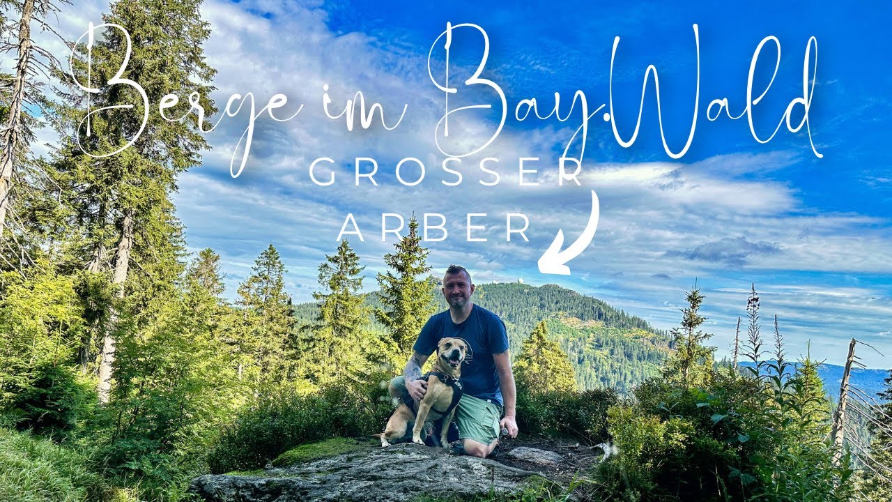 Wandern mit Hund im bayerischen Wald — Großer Arber