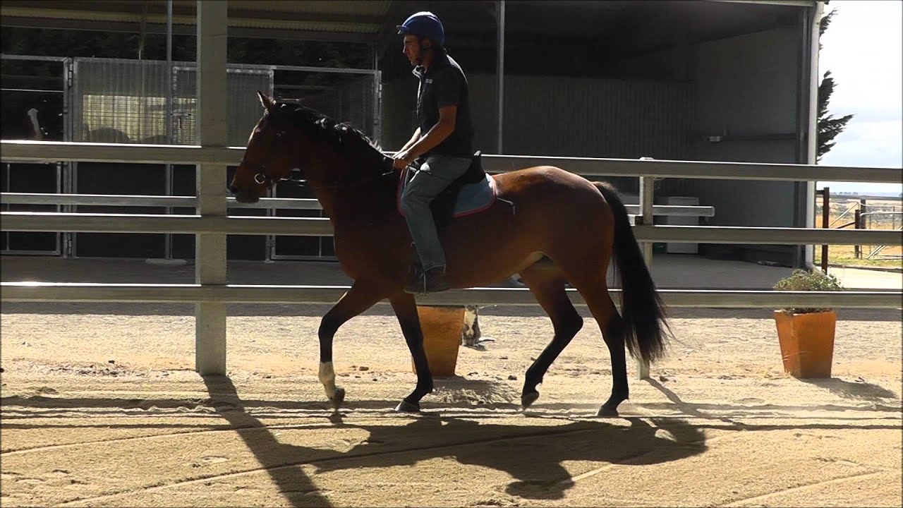 ultrascan ballymount