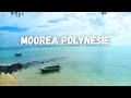 A voir  faire  moorea la plage de tiahura guide de voyage en polynsie