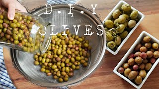 From TREE to TABLE - Turkish Grandma's way of curing Olives