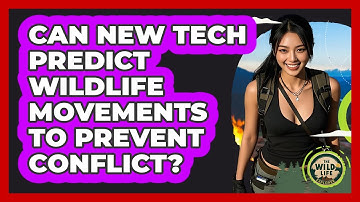 Can New Tech Predict Wildlife Movements To Prevent Conflict? - The Wild Life Explorer