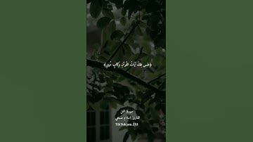 ابعتد عن ضجيج العالم واستمع إلا القرآن سورة|النمل بصوت|اسلام صبحي💔💔 #القرآن_الكريم #تلاوات