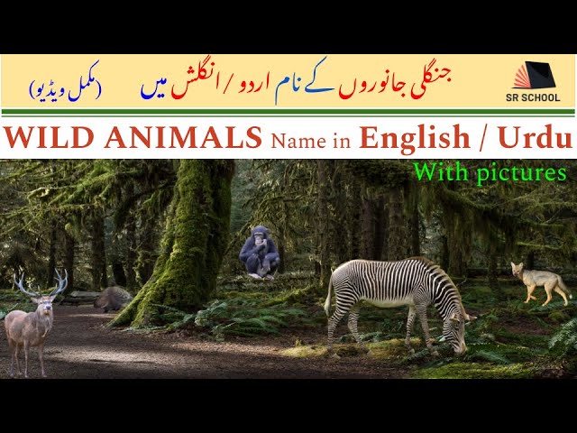 Wild Animals Meaning In Urdu, جنگلی جانوروں