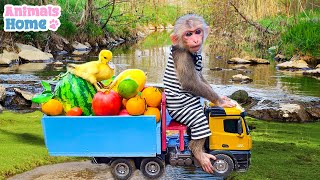 Farmer Bibi obediently helps his father take care of the ducklings by  Animals_Home 16,789,467 views 7 months ago 1 hour, 10 minutes