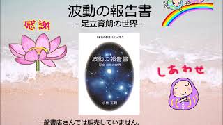 書籍・波動の報告書ー足立育朗の世界－