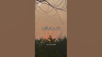 راحة و طمأنينة القارئ أحمد دياب #قرآن #أحمد_دياب