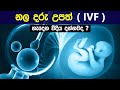 නල දරු උපත් සිදු වෙන්නෙ මෙහෙමයි 😊| What is invitro fertilization ? | IVF sinhala