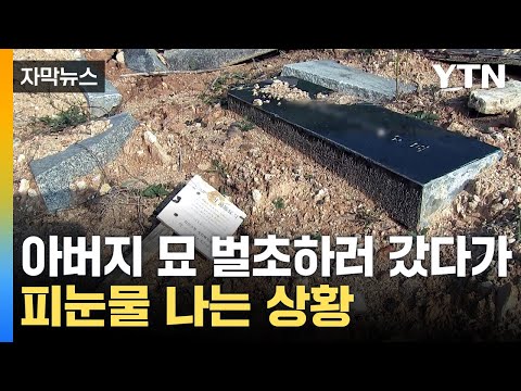 [자막뉴스] &quot;갑자기 묘가 없어졌어요&quot;...억장이 무너진 가족 / YTN