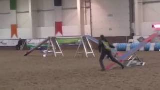 Robin UKA Finals 2016