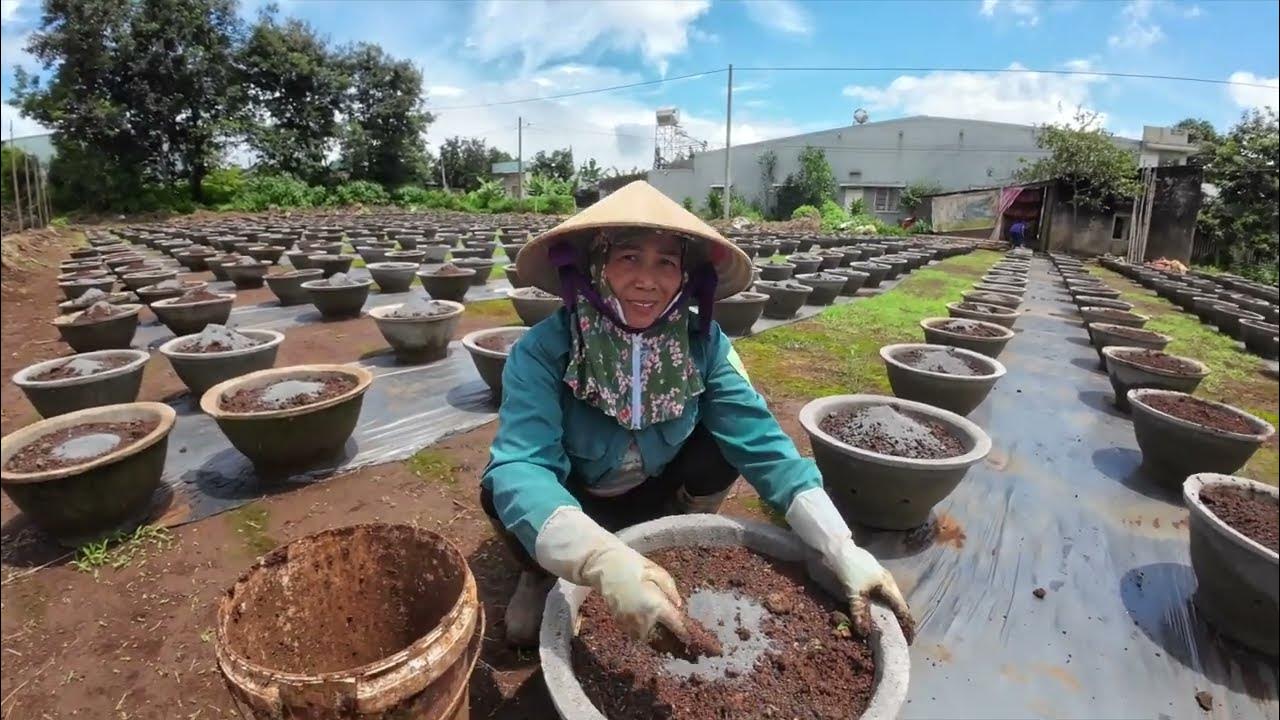Timemore coffee grinder & Vietnamese coffee beans YouTube