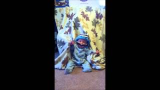 Cute Baby Harlem Shake