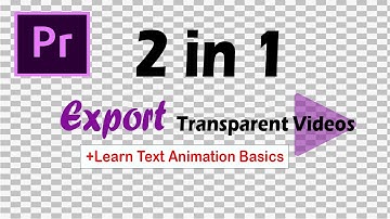 PremierePro Tutorial-Export Transparent Videos in Adobe Premiere Pro | Professor VFX