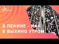 Китайцы поют "Катюшу" / куда пропали американцы / репортаж перед стартом Олимпиады