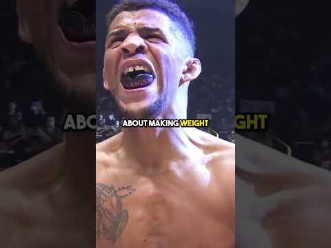 تم إصدار   من قبل 