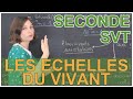 Les chelles du vivant  svt seconde  les bons profs