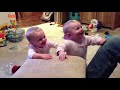 Funny Twin Babies Playing-Part1 |  funny videos 2019