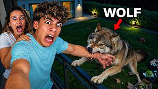 I Was Attacked by a Wolf in My House at Night! 😱🐺 | The Royalty Family