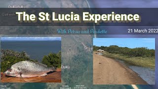 St Lucia Experience -  21 March 2022 - Water Levels and Dying Fish