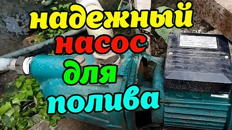 КАКОЙ НАСОС ВЫБРАТЬ ДЛЯ ПОЛИВА ОГОРОДА И ТЕПЛИЦЫ!
