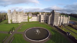 Go Here Now: Hunt With Hawks at 13th-Century Castle Hotel Go Here Now: Hunt With Hawks at 13th-Century Castle Hotel
