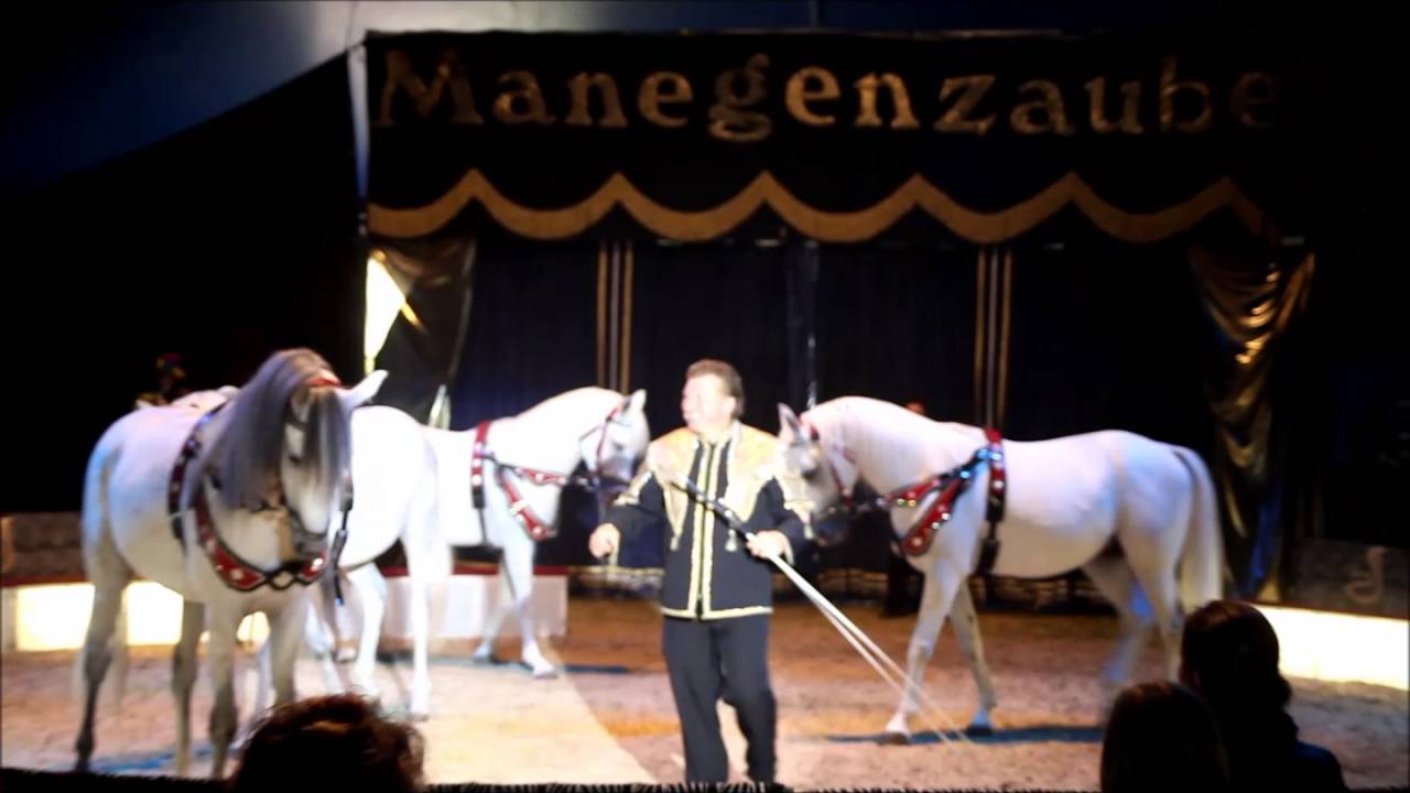 Pferdedressur Hardy Weisheit