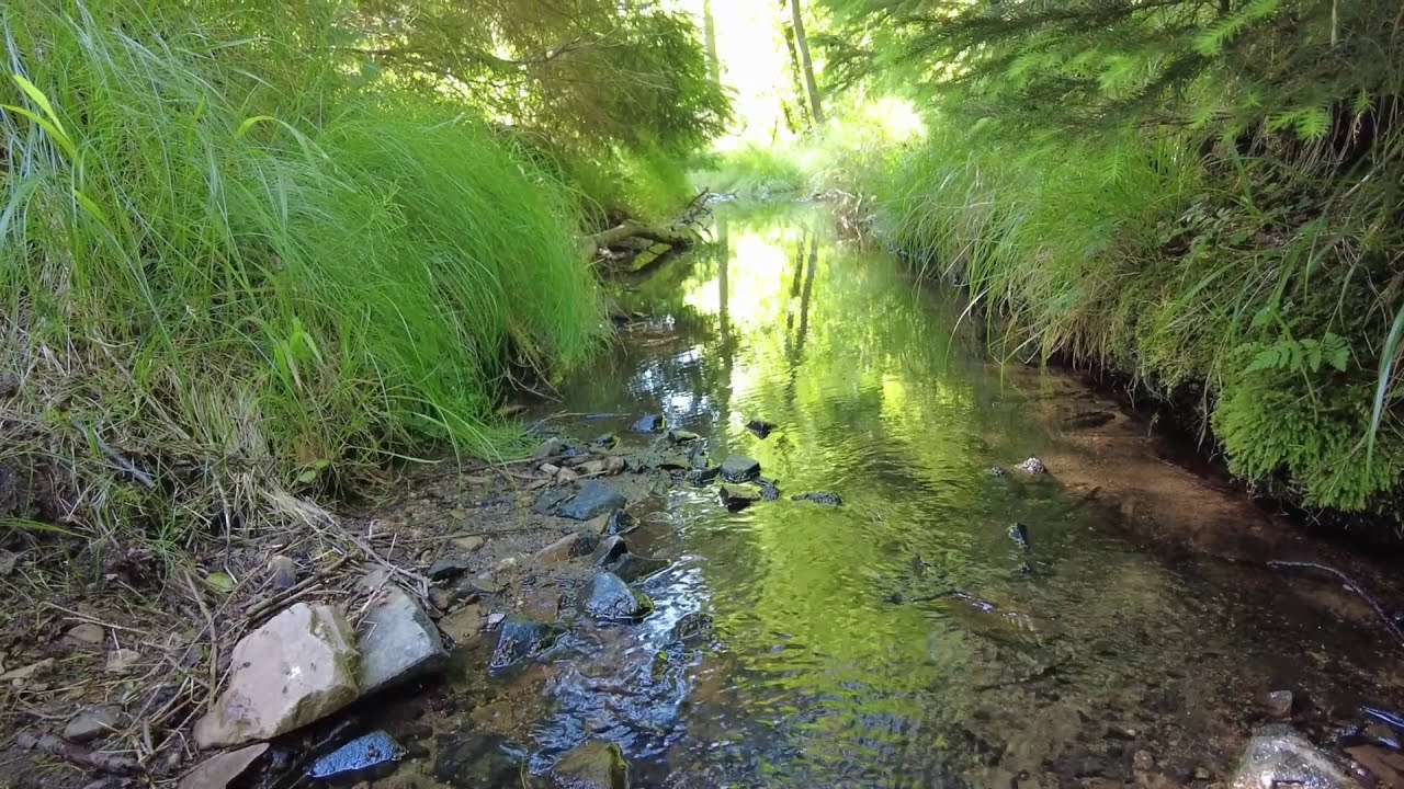 Expedice Zlaté dno - 3 dny na Brdech s CUDE (a Saperův denní viník)