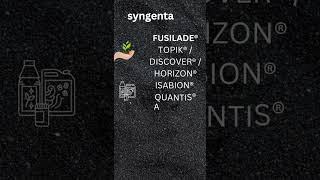 syngenta all top product | syngenta | syngenta product list  fieldagri syngenta