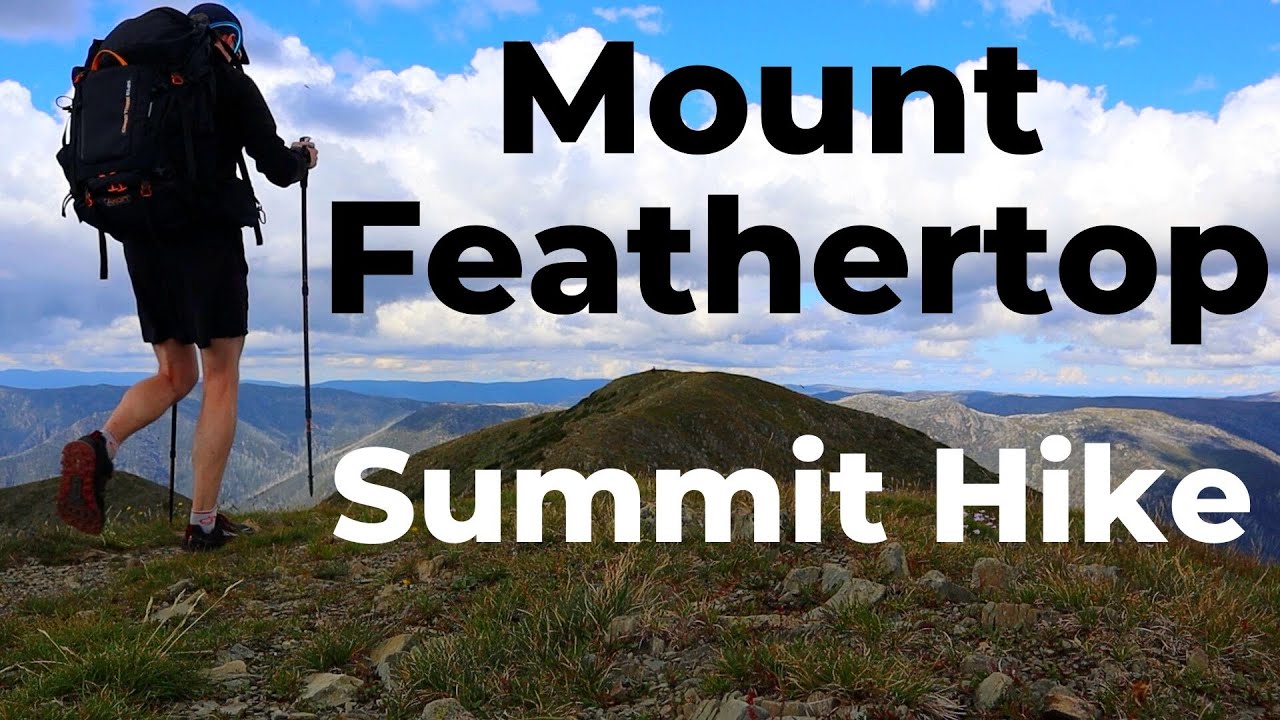 Mount Feathertop Summit Hike