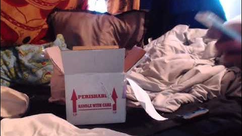 Ball Python BHB Reptile Unboxing