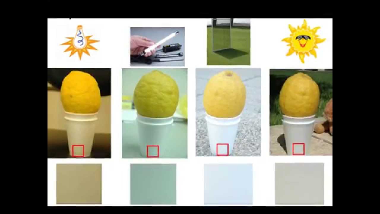color-constancy-in-bangla-youtube