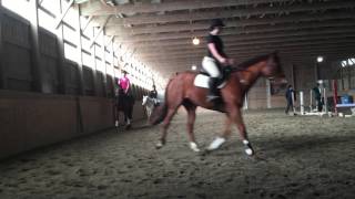 Tillie Jump Lesson - 02/20/16 - Warm up group trot pole exercise
