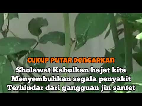 KUMPULAN SHOLAWAT TERBAIK | SHOLAWAT JIBRIL PENARIK REZEKI - Sholawat Busyro,Badar,Nariyah,Burdah 08