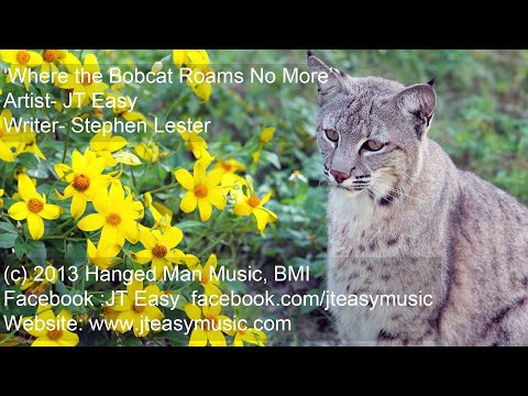 Where The Bobcat Roams No More