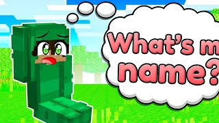 Polo Loses His Memory In Minecraft