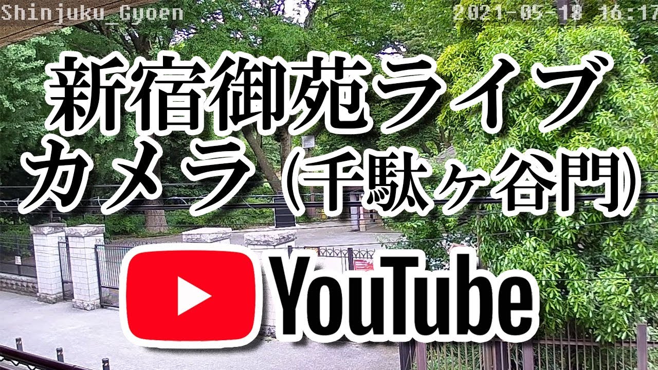 アーカイブ 新宿御苑ライブカメラ Shinjuku Gyoen Webcam Live Camera Youtube