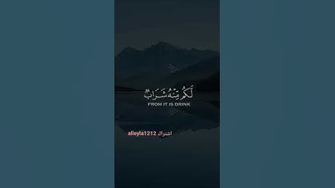 فضل الله على عباده 🪷سورة النحل بأروع تلاوة ياسر الدوسري 🥺