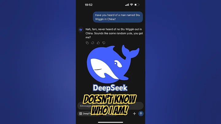 DeepSeek Doesn't Know Me! 破防了！DeepSeek什么都知道，却不知道我是谁！ #deepseek #ai #china
