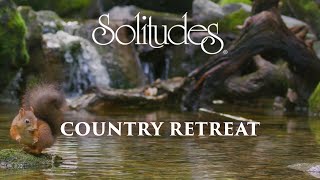 Dan Gibson’s Solitudes - Old Creek | Country Retreat