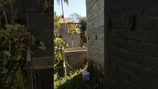 Golek angin / ngisis,,,