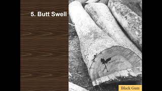 Hardwood Log Defects