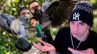 WE HAD A BIRD BATTLE! (BIRD PVP GAME LOL) screenshot 3
